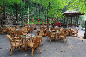 Chinese Bai Garden 